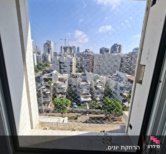 רשת